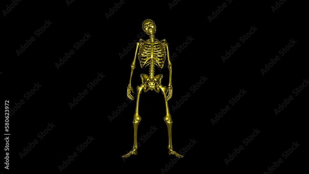 Skeleton what the fuck moment .