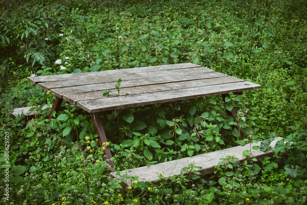 Fototapeta premium Wooden Camping Table Stuck In Overgrown Grass