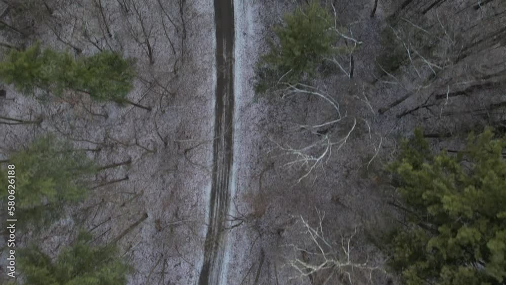 A top down view over a dirt road with snow and tall pine trees, some bare with no leaves. The drone camera tilted straight down, dolly in along the empty road during a cloudy evening. A top down view over a dirt road with snow and tall pine trees, some bare with no leaves. The drone camera tilted straight down, dolly in along the empty road during a cloudy evening.