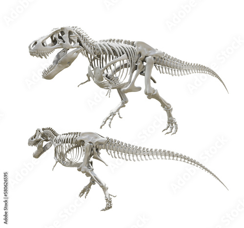 3d rendering of ancient animal skeleton of dinosaur t rex tyrannosaurus perspective view