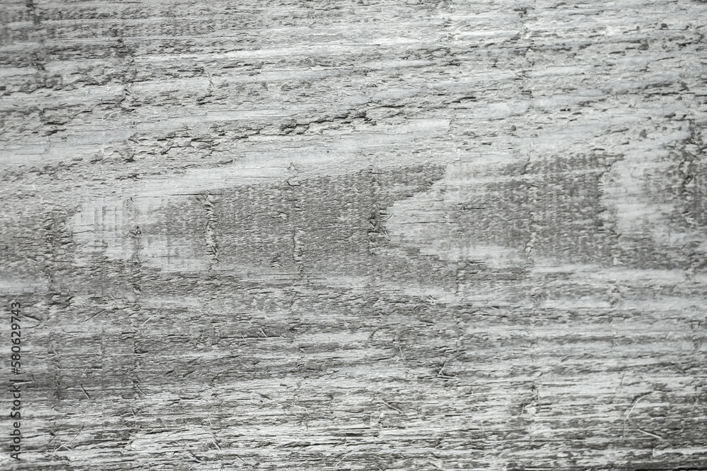 Obraz premium Background of wooden light gray vintage boards as abstract texture copy space