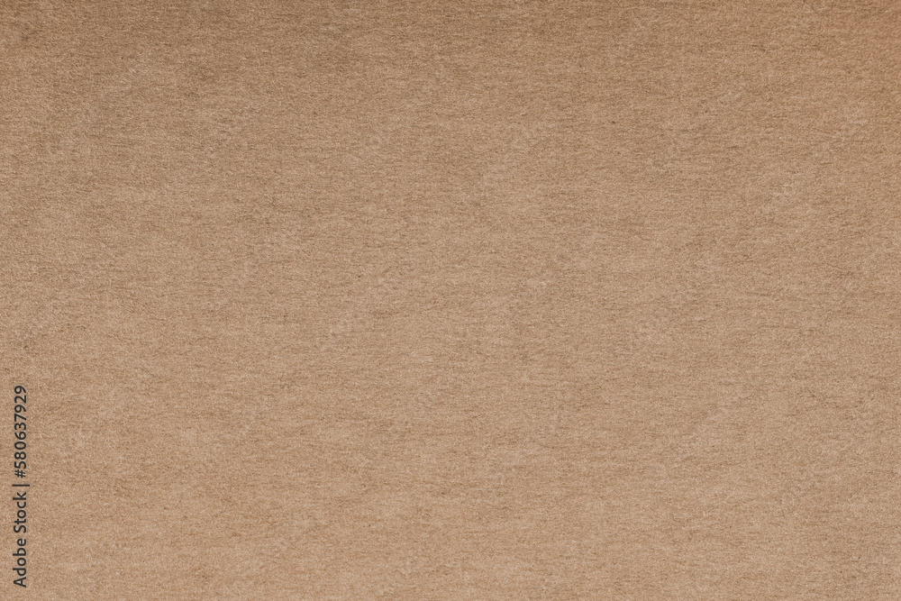 Fototapeta premium Abstract textured background with fine details