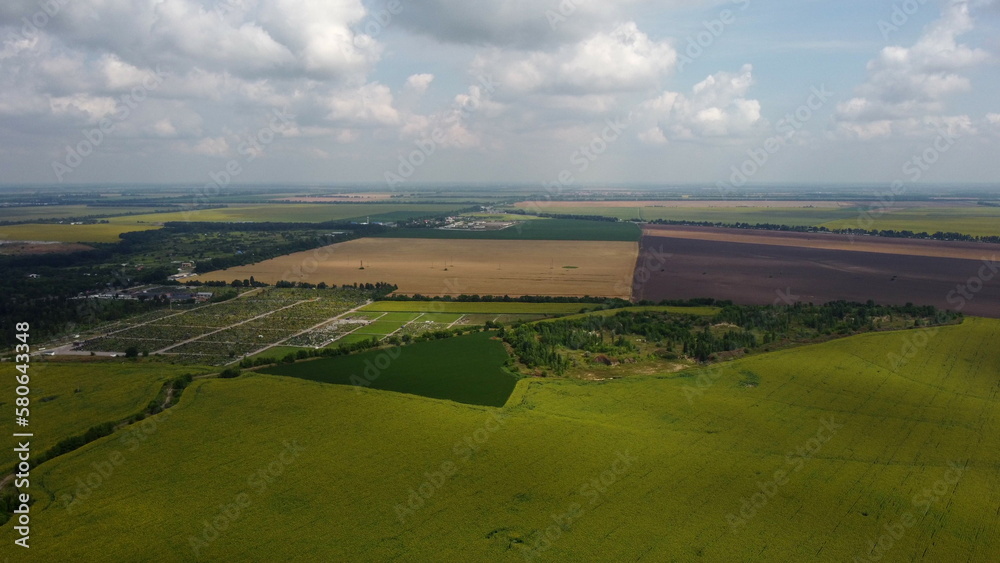 Green and yellow agricultural farm fields, fast moving shadows on the earth from white clouds in sky on a summer day. Agricultural panoramic landscape. Agrarian plantations scene. Aerial drone view.