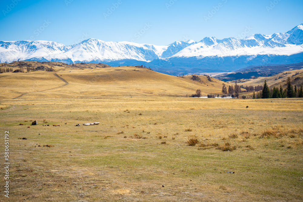 Scenic view with the beautiful mountain peaks with snow and glaciers, blue sky and the valley in the sunlight in Altai, Russia Scenic view with the beautiful mountain peaks with snow and glaciers, blue sky and the valley in the sunlight in Altai, Russia