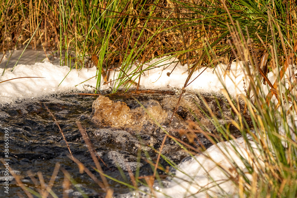 Close-up of a water source that blows up bubbling water. Spring, snow melt, dry grass everywhere. Day, cloudy weather, soft warm light in winter