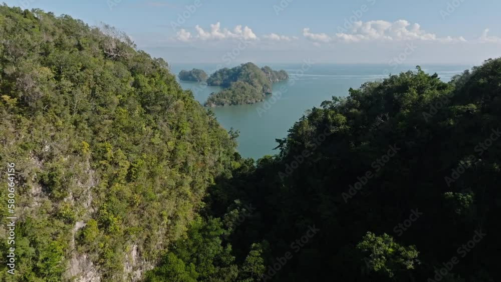 Drone flying over lush forest of Los Haitises National Park with seascape in background, Dominican Republic. Aerial forward Drone flying over lush forest of Los Haitises National Park with seascape in background, Dominican Republic. Aerial forward