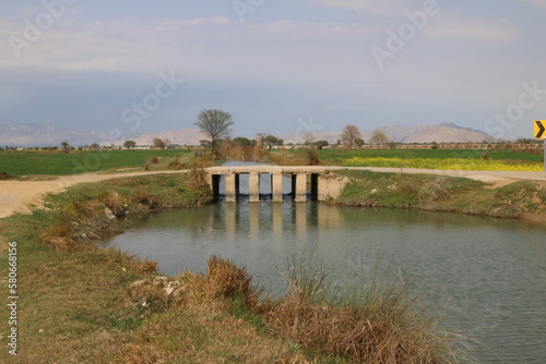 bridge over the river