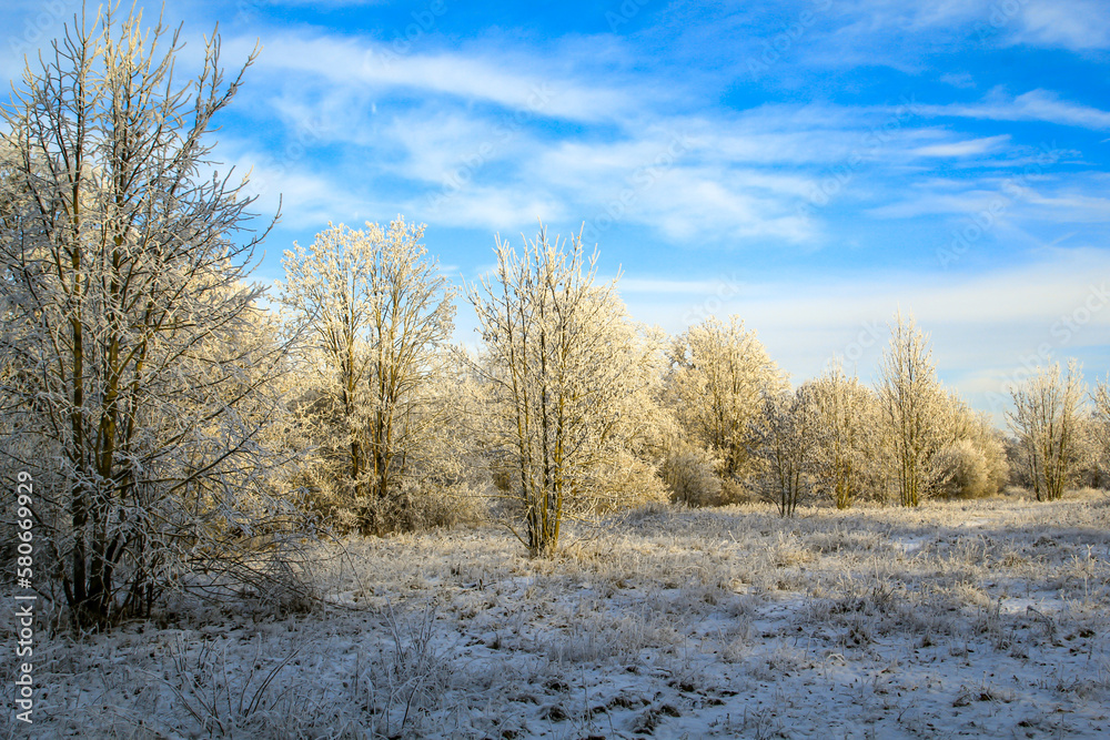 Mit Rauhreif überzogene Büme in einer kalten Winterlandschaft.
Mit Rauhreif überzogene Büme in einer kalten Winterlandschaft.