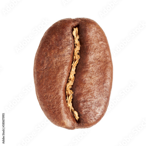 coffee bean