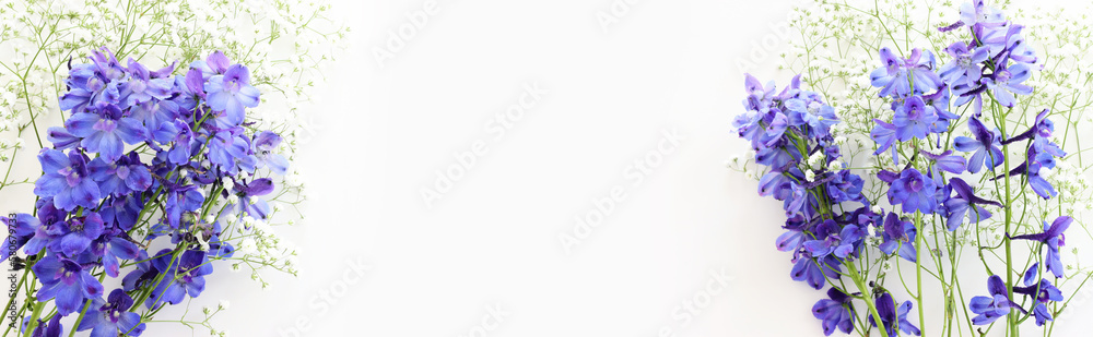 Top view image of violet delphinium flowers composition over white isolated background Top view image of violet delphinium flowers composition over white isolated background
