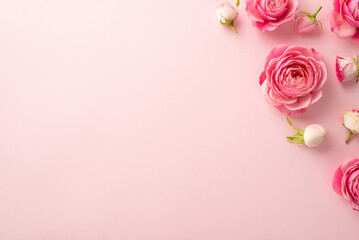 Mother's Day celebration concept. Top view photo of pink peony roses on isolated pastel pink background with blank space