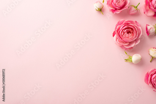 Fototapeta Naklejka Na Ścianę i Meble -  Mother's Day celebration concept. Top view photo of pink peony roses on isolated pastel pink background with blank space