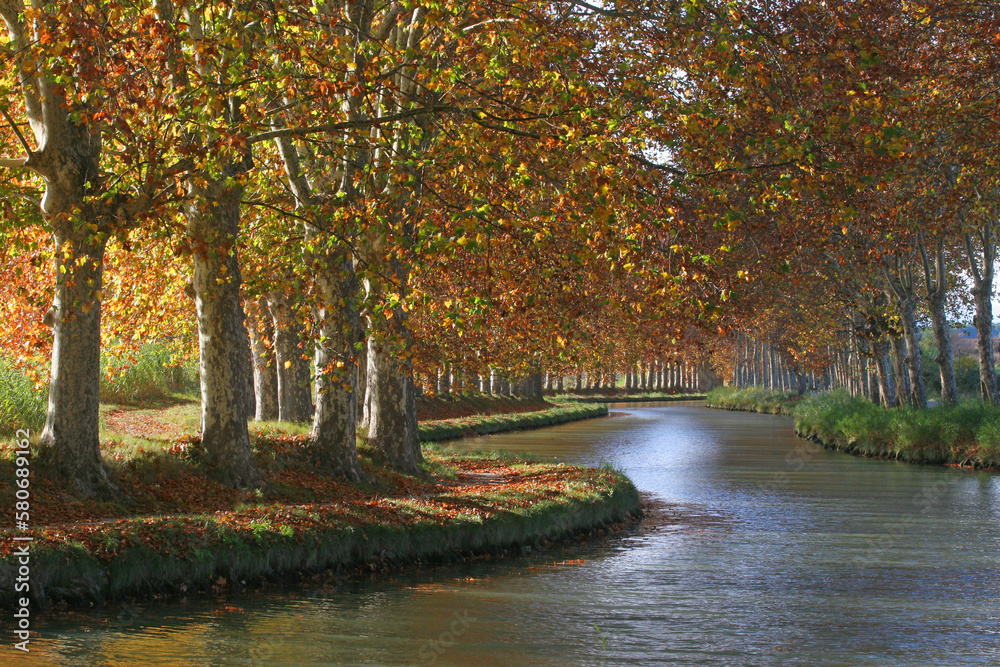 Canal du Midi Capestang, tourisme fuvial Hérault, allées de platanes — free download