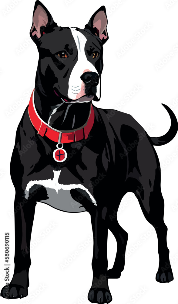 Obraz premium Pet dog illustration vector art