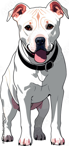 Pet dog illustration vector art