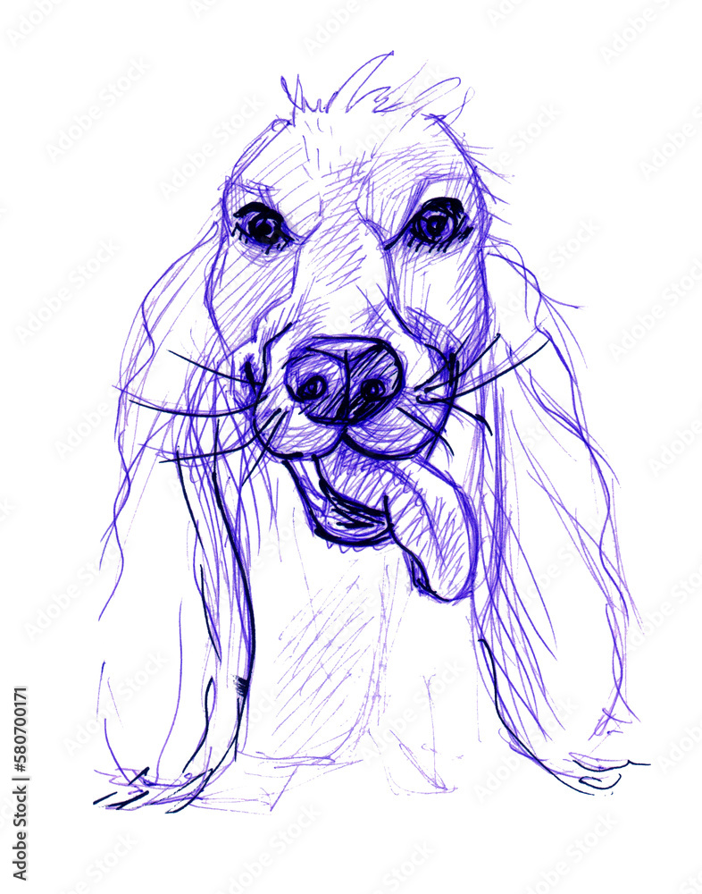 dog drawing hand drawn.dog pen and ink illustration.original drawing Stock Illustration Adobe