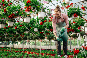 Man gardener working in a greenhouse and watering plants