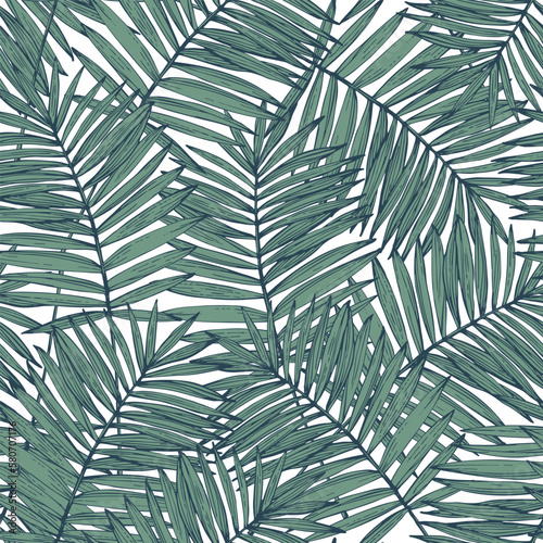Hand drawn silhouettes, line art of palm leaves background