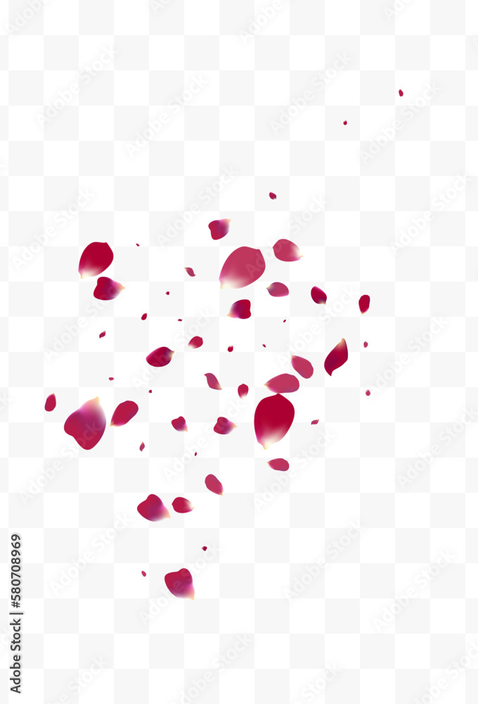 Delicate Blossom Spring Vector Transparent Delicate Blossom Spring Vector Transparent