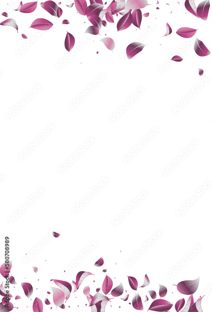 Lilac Leaf Forest Vector White Background Plant.