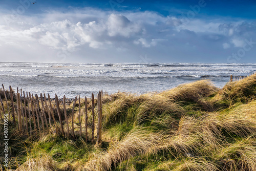 Tall grass and wooden fence on a dune by the ocean  blue cloudy sky. Beautiful nature scene. Irish coastline in county Sligo.