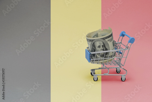 Metal shopping basket with dollar money banknote on the national flag of belgium background. consumer basket concept. 3d illustration