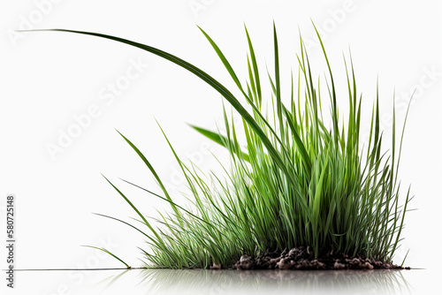 generative ai illustration of grass isolated against white background