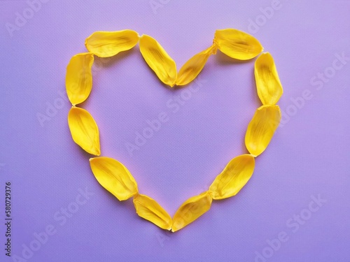 Heart made of yellow tulip petals on purple background, top view 