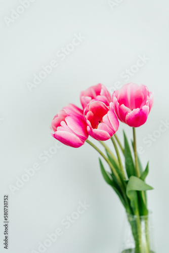 Tulips in a vase with a place for text vertical background © Kate Prosvirnina
