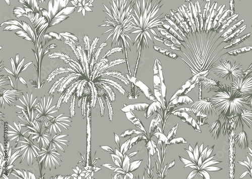 Vintage seamless pattern with tropical palms. Trees in linear style. Vector botanical illustration. Foliage design for wallpaper  textile and wrapping paper.