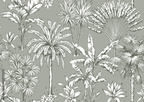 Vintage seamless pattern with tropical palms. Trees in linear style. Vector botanical illustration. Foliage design for wallpaper, textile and wrapping paper.