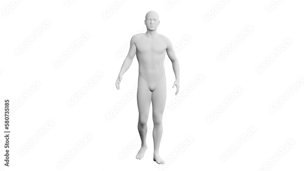 Beautiful young man posing, isolated on white background. 3d illustration (rendering). Artificial intelligence, android, mannequin Beautiful young man posing, isolated on white background. 3d illustration (rendering). Artificial intelligence, android, mannequin