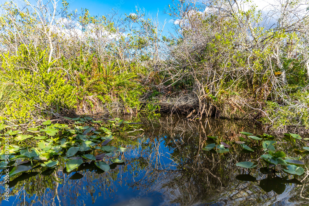 Everglades Nationalpark, Florida, USA, Nordamerika