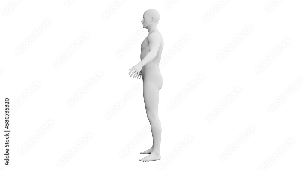 Beautiful young man posing, isolated on white background. 3d illustration (rendering). Artificial intelligence, android, mannequin Beautiful young man posing, isolated on white background. 3d illustration (rendering). Artificial intelligence, android, mannequin
