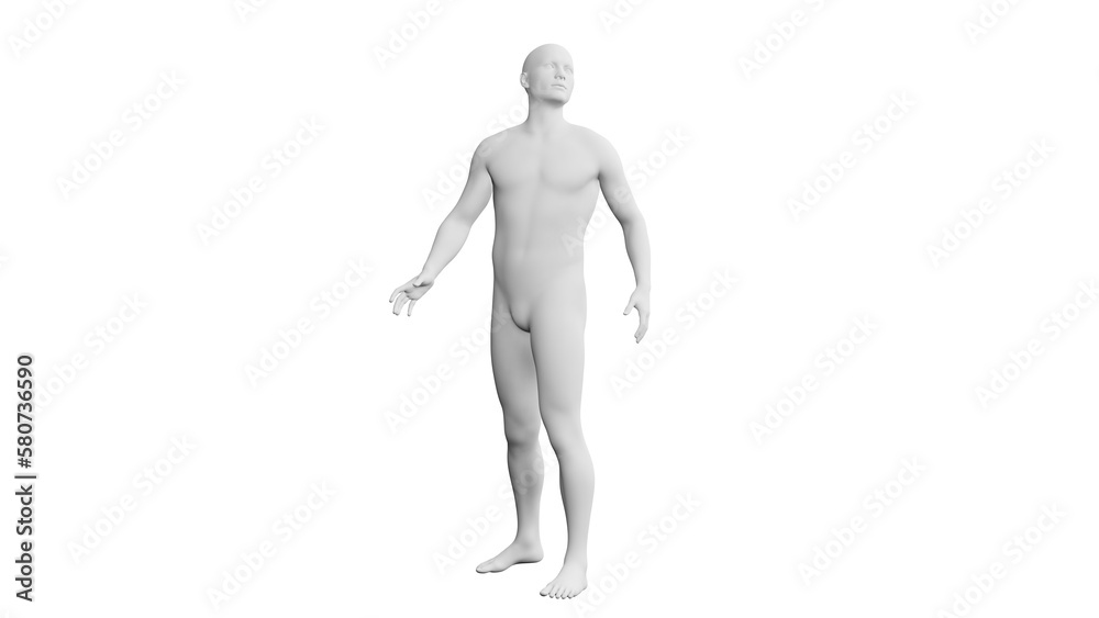Beautiful young man posing, isolated on white background. 3d illustration (rendering). Artificial intelligence, android, mannequin Beautiful young man posing, isolated on white background. 3d illustration (rendering). Artificial intelligence, android, mannequin
