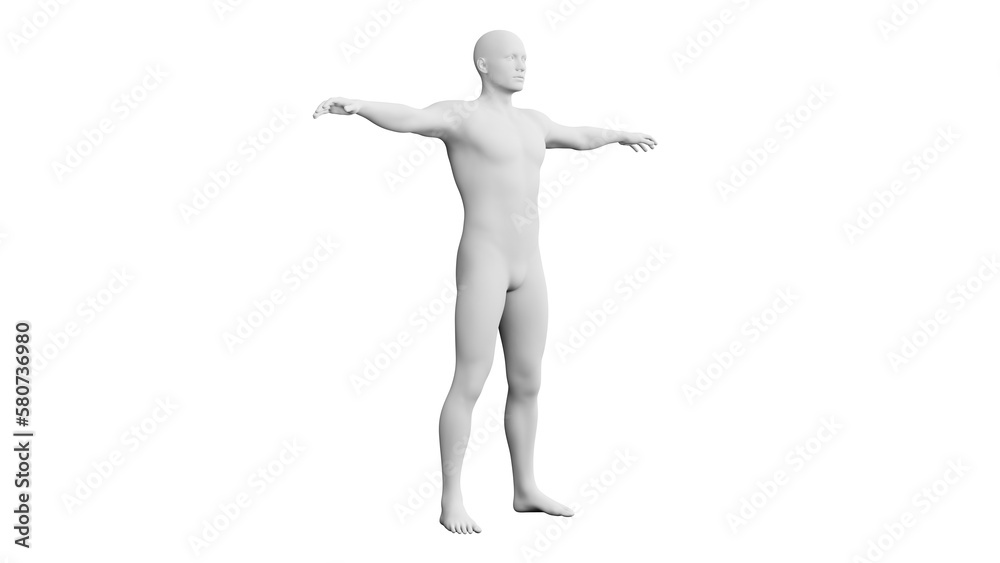 Beautiful young man posing, isolated on white background. 3d illustration (rendering). Artificial intelligence, android, mannequin Beautiful young man posing, isolated on white background. 3d illustration (rendering). Artificial intelligence, android, mannequin