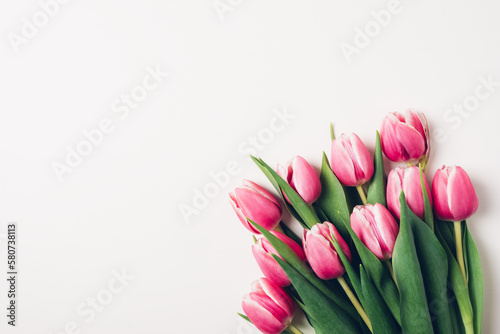 Fototapeta Naklejka Na Ścianę i Meble -  Beautiful fresh pink tulip flowers in full bloom on white background, top view. Copy space for text. Minimalist flat lay with spring blooms.