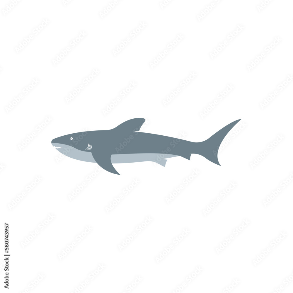 Shark illustration logo Shark illustration logo