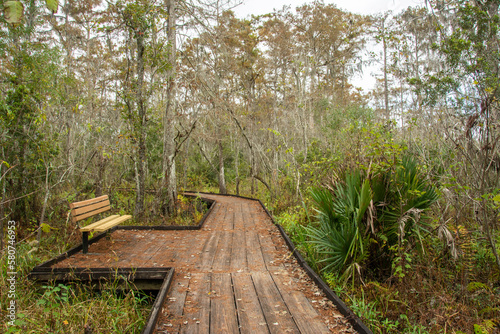 Bench on a boardwalk trail through wild Louisiana swamp and marsh in Barataria Preserve outside Marrero near New Orleans  USA