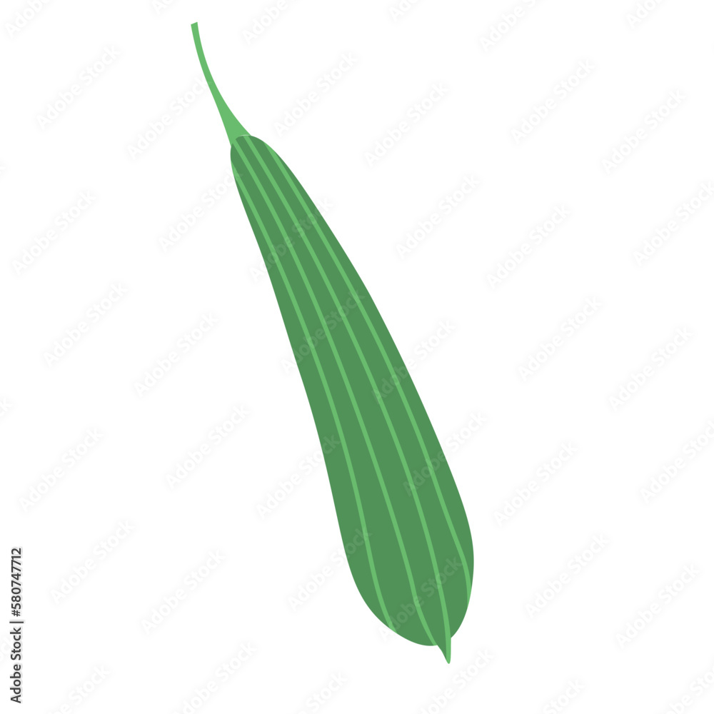 Vegetables Element Vegetables Element