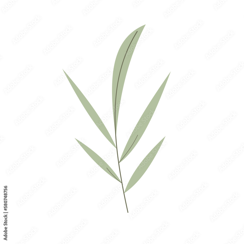 Tropical Leaf Element Tropical Leaf Element