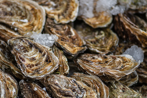 Group of closed oysters with ice in a fish shop or street food market