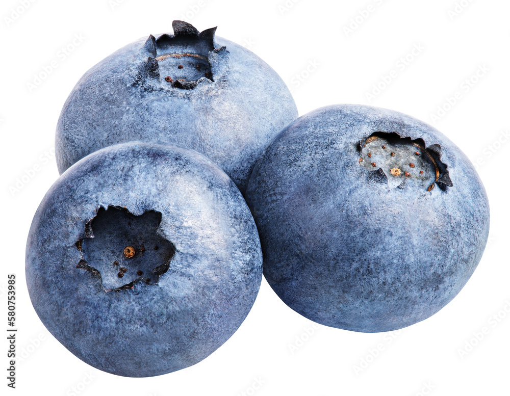 Obraz premium Group of blueberry berry isolated on transparent background