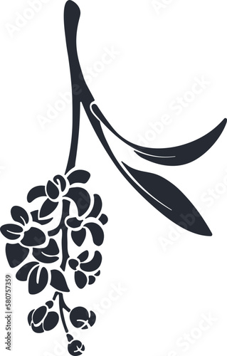 Olive branch black silhouette of fruits and flowers. Nature shape