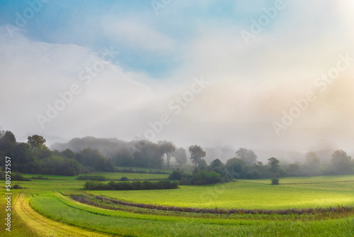 Fototapeta Naklejka Na Ścianę i Meble -  Summer meadow, green grass in warm sunlight. Early morning on the fields. Foggy forest, blue sky. Idyllic nature, environment background concept