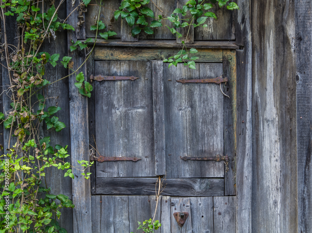altes, verwittertes Holzfenster, romantisch eingerahmt in Blätter, Stylish composition of home and garden, schöne Stimmung, altes, verwittertes Holzfenster, romantisch eingerahmt in Blätter, Stylish composition of home and garden, schöne Stimmung,