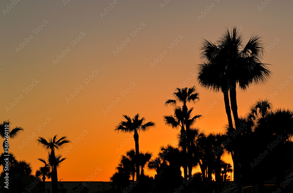 Tropical palm trees silhouetted against a deep orange sky at sunset. No people. Copy space. Travel and holidays concept Tropical palm trees silhouetted against a deep orange sky at sunset. No people. Copy space. Travel and holidays concept