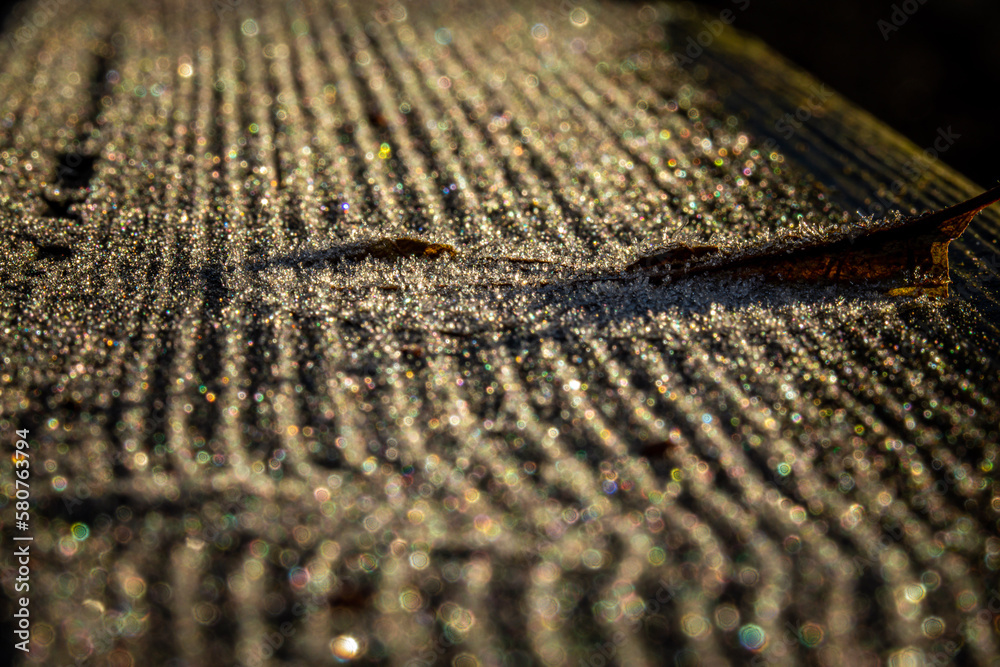 gold winter gold winter