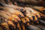 Dried smoked Atlantic or Baltic herrings, Clupea harengus, a herring in the family Clupeidae in a street food market in Vilnius, Lithuania, Europe, close up