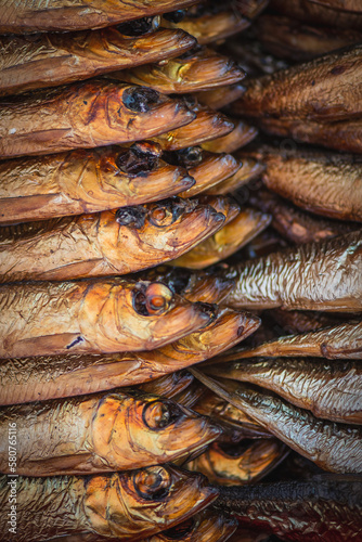 Dried smoked Atlantic or Baltic herrings, Clupea harengus, a herring in the family Clupeidae in a street food market in Vilnius, Lithuania, Europe, close up, vertical